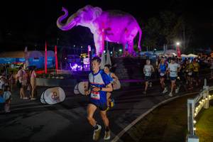 BIB: 
                            <button type="button" onclick="openModal(26552277)" class="btn btn-primary btn-sm float-right btn-popup" data-toggle="modal" data-target=".modal-high-quality">
                        <i class="fas fa-shopping-cart"></i> Add to Cart
                    </button>
                                            <button type="button" onclick="isThisMe(26552277, true)" class="btn btn-success btn-sm float-right btn-popup btn-isme hidden" data-toggle="tooltip" data-placement="bottom" title="นี่คือรูปของคุณใช่ไหม คลิกที่นี่เพื่อเอาเข้าอัลบั้ม">
                        <i class="fas fa-plus"></i> Add to album
                    </button>
                    <button type="button" onclick="isThisMe(26552277, false)" class="btn btn-warning btn-sm float-right btn-popup btn-isnotme hidden">
                        <i class="fas fa-ban"></i> Remove from album
                    </button>